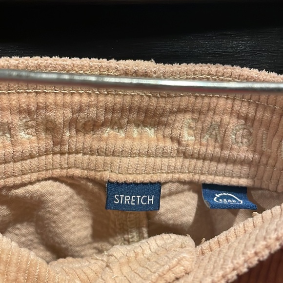 American Eagle tan corduroy cargo pants size 2, short - Picture 5 of 7